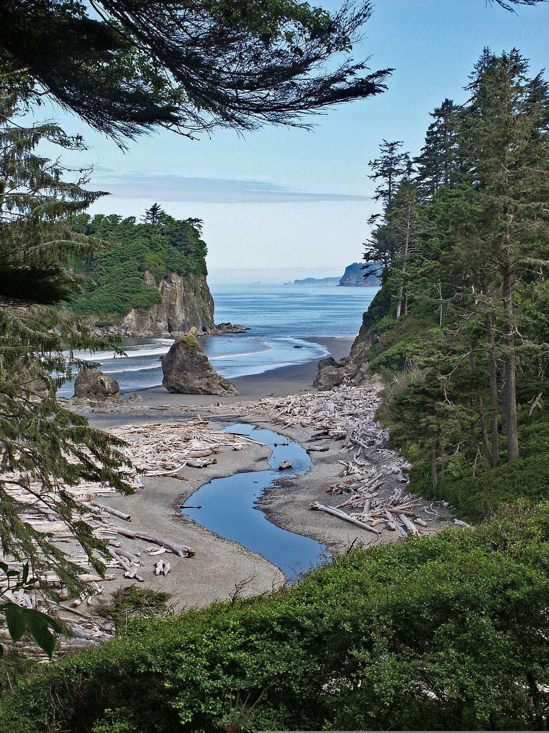 A beach located in Washington State